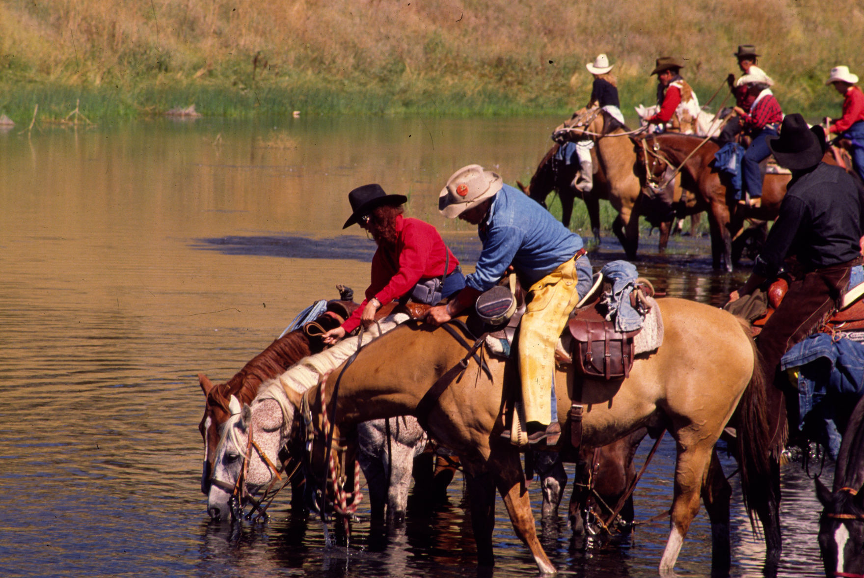 Great Montana Centennial Cattle Drive